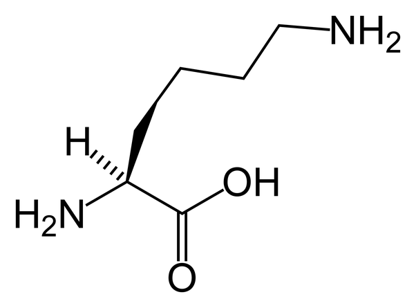 L-Lysine Mono HCL