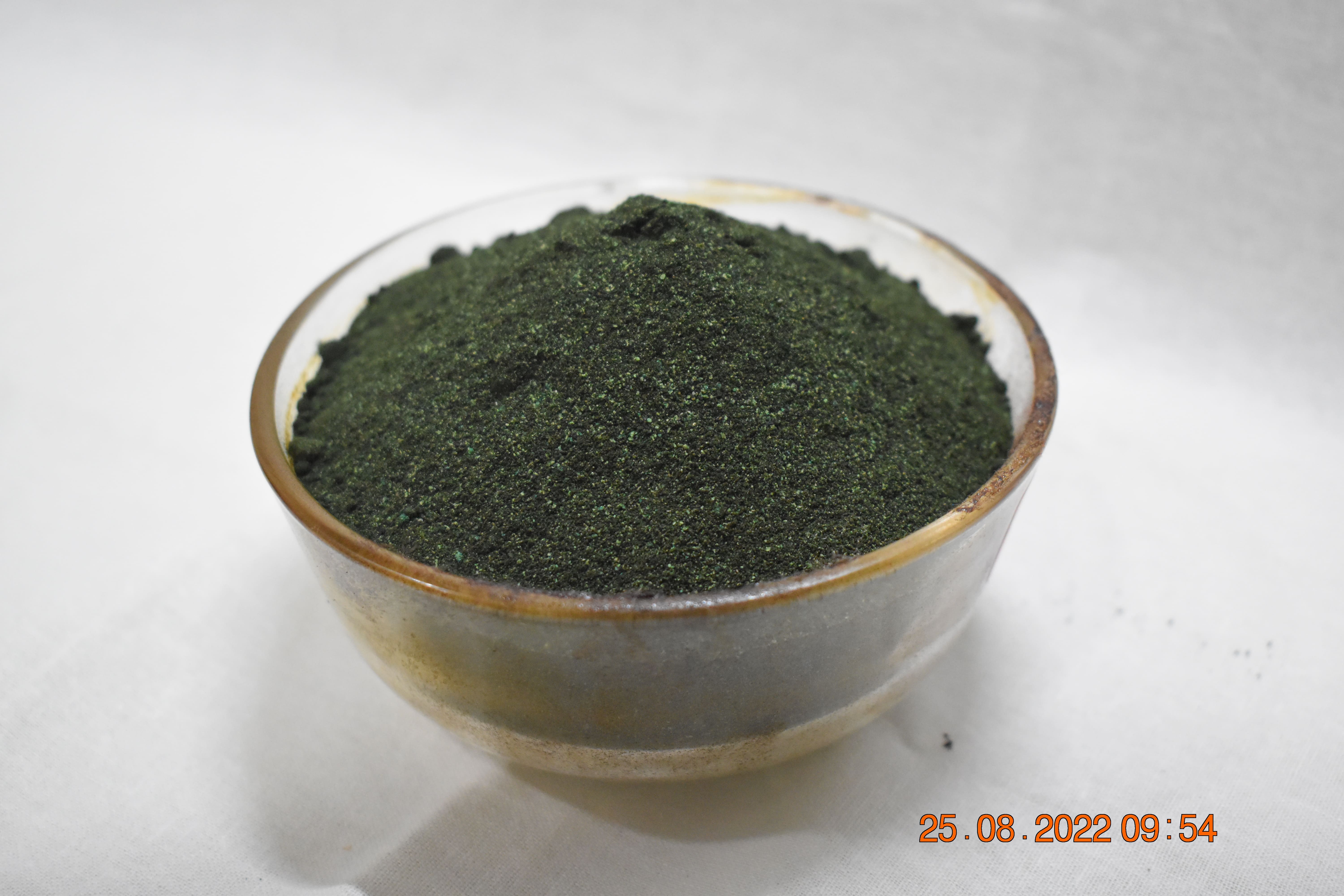 Seaweed Extract Green Powder